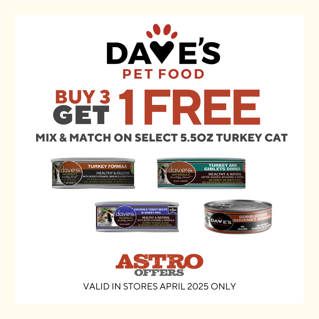 Promotion Image
